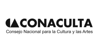 ConsulPro